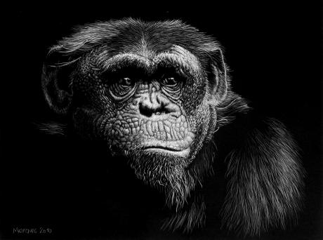 Der Skeptiker - Dietrich Moravec - Array auf - Array - Der Skeptiker - Dietrich Moravec - Array auf - Array -