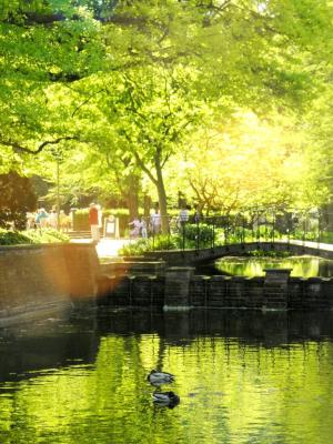 Frühlingsträumerei - Wolfgang Bergter - Array auf Array - Array - Frühlingsträumerei - Wolfgang Bergter - Array auf Array - Array -