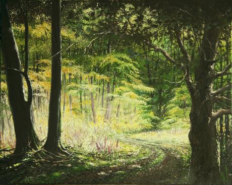 Wald, Insel Rügen - Heiko Horn - Array auf Array - Array - Array Wald, Insel Rügen - Heiko Horn - Array auf Array - Array - Array