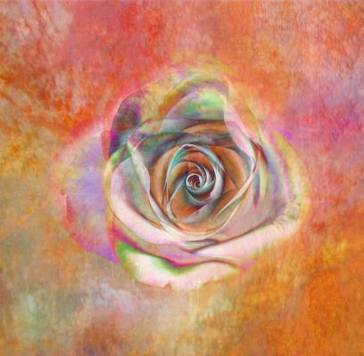 DekoRose - Claudia Gründler - Array auf - Array - DekoRose - Claudia Gründler - Array auf - Array -