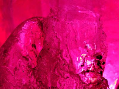 Pinky von Peter Einwaller - Michael Litzko - auf - Array - Pinky von Peter Einwaller - Michael Litzko - auf - Array -