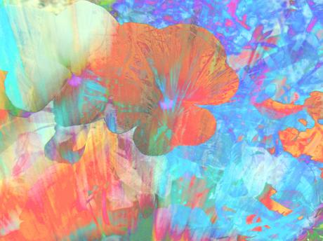 Blütenzauber - Peter Norden - Array auf - Array - Blütenzauber - Peter Norden - Array auf - Array -