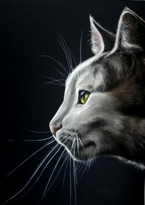 Katze - Mikhail Ustaev - Array auf Array - Array - Array Katze - Mikhail Ustaev - Array auf Array - Array - Array