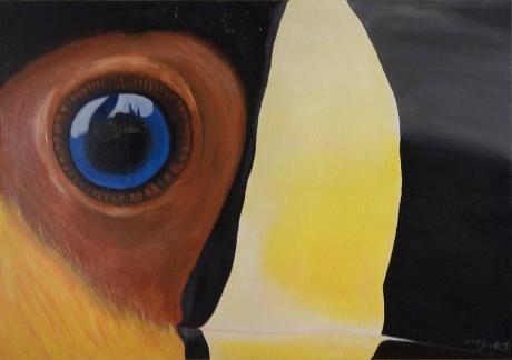 Tukan - artHawk &bull; Ralf ,  Knapp - Array auf Array - Array - Array