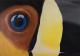 Tukan - artHawk • Ralf , Knapp - Acryl auf Leinwand - Mystik-Sonstiges - Naturalismus-Symbolismus Tukan - artHawk • Ralf , Knapp - Acryl auf Leinwand - Mystik-Sonstiges - Naturalismus-Symbolismus