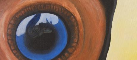 Tukanbild Detail - artHawk &bull; Ralf ,  Knapp - Array auf Array - Array - Array