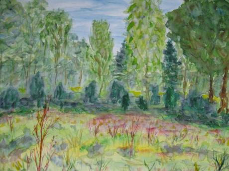 Rothaargebirge b. Heinsberg - 2. Bild - Helmut Ebert - Array auf Array - Array - Array Rothaargebirge b. Heinsberg - 2. Bild - Helmut Ebert - Array auf Array - Array - Array