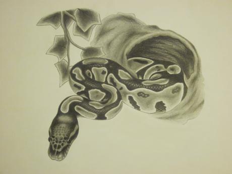 Königspython - Marc Fregona - Array auf Array - - Array Königspython - Marc Fregona - Array auf Array - - Array