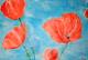 Mohn Blumen - marion kapur - Acryl auf Leinwand - - Gegenständlich Mohn Blumen - marion kapur - Acryl auf Leinwand - - Gegenständlich