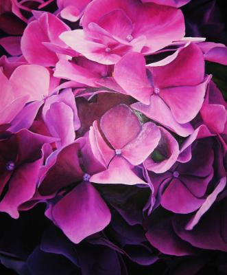 Violette Hortensie - Sabine Mentzel - Array auf Array - Array - Array Violette Hortensie - Sabine Mentzel - Array auf Array - Array - Array