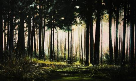 Tümpel im Tannenwald! - Sabine Mentzel - Array auf Array - Array - Array Tümpel im Tannenwald! - Sabine Mentzel - Array auf Array - Array - Array