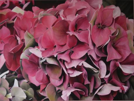 Rosa Hortensie - Sabine Mentzel - Array auf Array - Array - Array Rosa Hortensie - Sabine Mentzel - Array auf Array - Array - Array