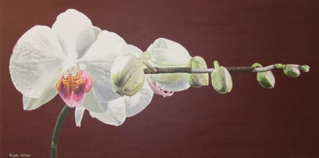 Eleganza - dunjate Kunst in Acryl - Array auf Array - Array - Array Eleganza - dunjate Kunst in Acryl - Array auf Array - Array - Array