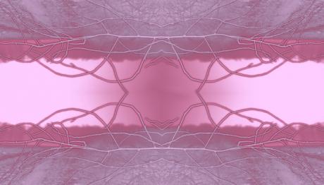 Traum - edith van aken - Array auf - Array - Traum - edith van aken - Array auf - Array -