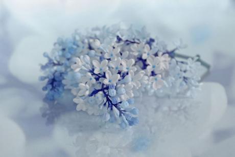 Fliederträume in blue - Annett Tropschug - Array auf - Array - Fliederträume in blue - Annett Tropschug - Array auf - Array -