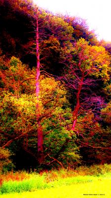 ---Foto 3 - Mario Kirchner - Array auf - - ---Foto 3 - Mario Kirchner - Array auf - -