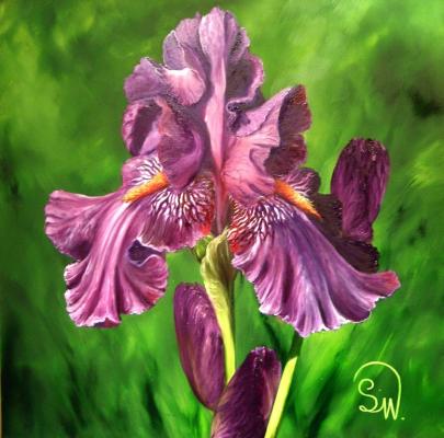 Iris Violetta - Simone Wilhelms - Array auf Array - Array - Array Iris Violetta - Simone Wilhelms - Array auf Array - Array - Array