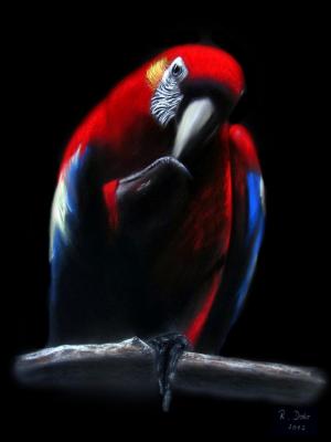 Ara - Renate Dohr - Array auf Array - Array - Array Ara - Renate Dohr - Array auf Array - Array - Array