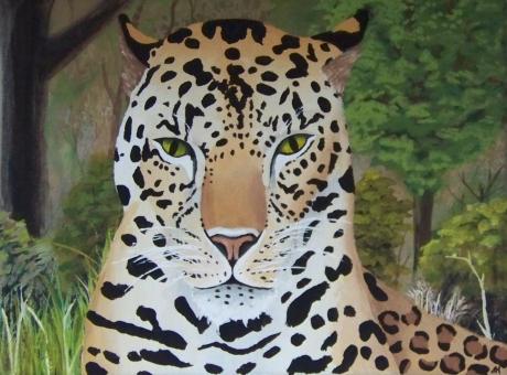 Wildcat 1 - Askara Jinn - auf - Array - Wildcat 1 - Askara Jinn - auf - Array -