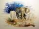 Graue Riesen (2007) - Werner Meier - Aquarell auf Papier - Elefanten - Graue Riesen (2007) - Werner Meier - Aquarell auf Papier - Elefanten -
