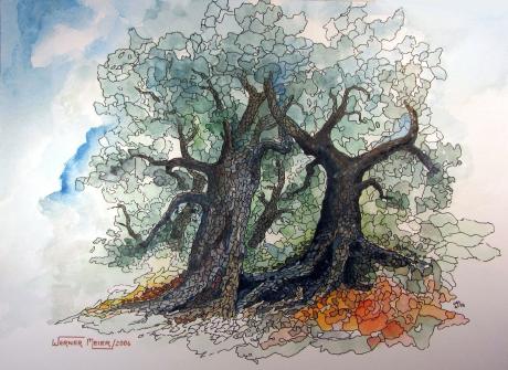 Olivenbäume in Wabenmuster (2006) - Werner Meier - Array auf Array - Array - Olivenbäume in Wabenmuster (2006) - Werner Meier - Array auf Array - Array -