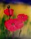 3x Mohn - Klaus Scholl - Acryl auf Leinwand - Botanik - 3x Mohn - Klaus Scholl - Acryl auf Leinwand - Botanik -