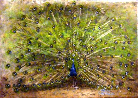 der Pfau im Faunapark Solingen - Acryl - I. K.-Koch - Array auf Array - Array - Array der Pfau im Faunapark Solingen - Acryl - I. K.-Koch - Array auf Array - Array - Array