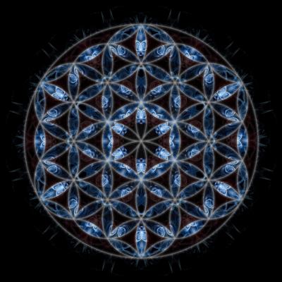 Lebensblume 2011081901 - Niels Vaillant - Array auf  - Array - 