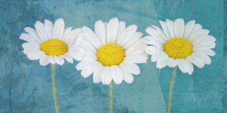 Mageriten - Annett Tropschug - Array auf - Array - Mageriten - Annett Tropschug - Array auf - Array -