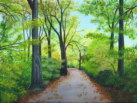 Weitmar Holz, Wald im Herbst - Rainer Hillebrand - Array auf - Array - Array Weitmar Holz, Wald im Herbst - Rainer Hillebrand - Array auf - Array - Array