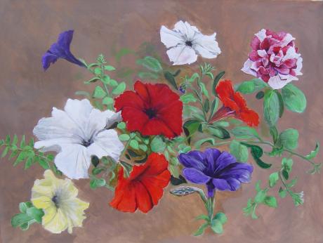 bunte Petunien - Wilma Schumann - Array auf Array - - Array bunte Petunien - Wilma Schumann - Array auf Array - - Array