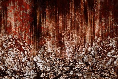 Phasenverschiebung - Michael Guntenhöner - Array auf - Array - Phasenverschiebung - Michael Guntenhöner - Array auf - Array -