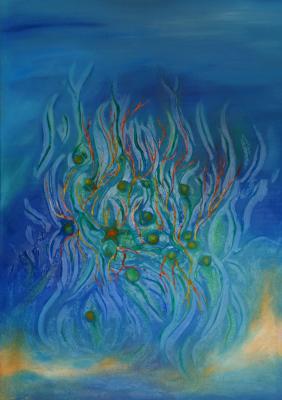 Coral reef - Jens Eberhardt - Array auf Array - Array - Array Coral reef - Jens Eberhardt - Array auf Array - Array - Array