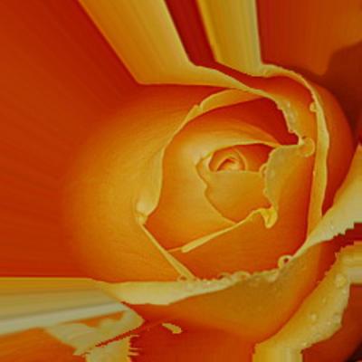 Kraftvoll - Roland Benner - Array auf - Array - Kraftvoll - Roland Benner - Array auf - Array -