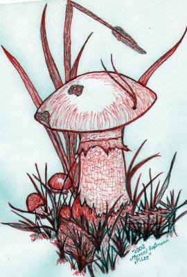 Der Pilz - Marcel Hofmann - Array auf - Array - Der Pilz - Marcel Hofmann - Array auf - Array -