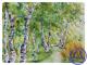 Birkenwäldchen - Angelika Hiller - Aquarell auf - Landschaft - Birkenwäldchen - Angelika Hiller - Aquarell auf - Landschaft -