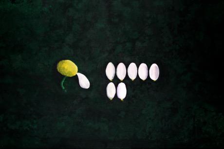 Ordnung - Anton Reim - Array auf Array - Array - Ordnung - Anton Reim - Array auf Array - Array -