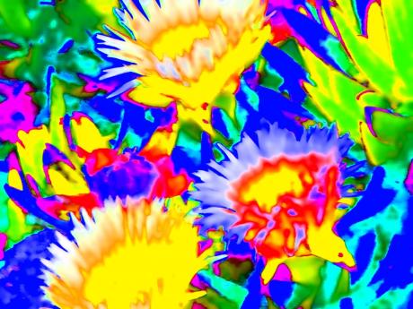 Blütenpracht - Kristin Gräfin von Montfort - Array auf - Array - Blütenpracht - Kristin Gräfin von Montfort - Array auf - Array -