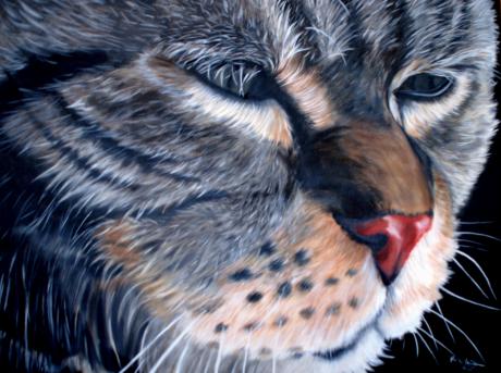 Paco - Heike Müller - Array auf Array - Array - Array Paco - Heike Müller - Array auf Array - Array - Array