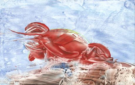 Der Hummer - Dubravka Topic - Array auf - Array - Der Hummer - Dubravka Topic - Array auf - Array -