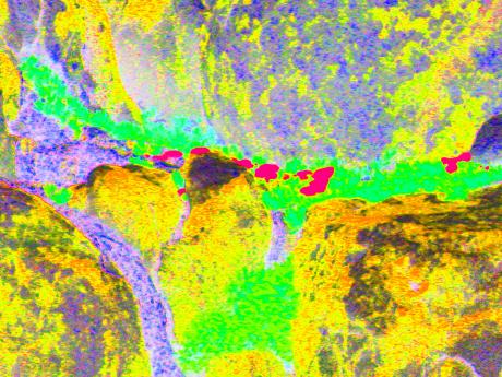 Sonnenflecken - Kristin Gräfin von Montfort - Array auf - Array - Array Sonnenflecken - Kristin Gräfin von Montfort - Array auf - Array - Array