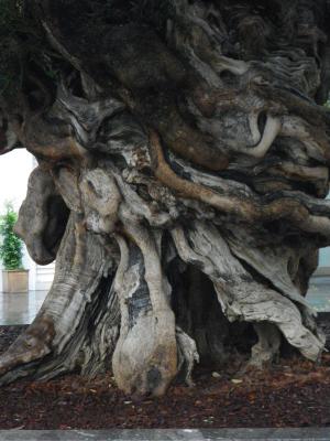 Mystik der Natur - Kristin Gräfin von Montfort - Array auf - Array - Mystik der Natur - Kristin Gräfin von Montfort - Array auf - Array -