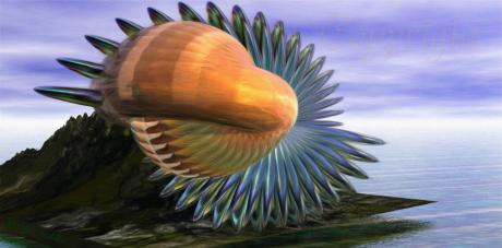 Fantasiemuschel - Gabriele Nedilka - Array auf - Array - Array Fantasiemuschel - Gabriele Nedilka - Array auf - Array - Array