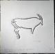 Ibex Holzschnitt - Rafael Sanz - - auf  -  - 