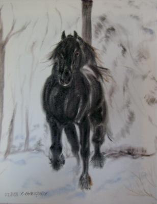 Friese auf weissem Samt - Claudia Lüthi - Array auf - Array - Array Friese auf weissem Samt - Claudia Lüthi - Array auf - Array - Array