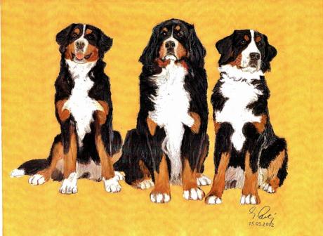 Baya Assia Madley - Georg Rataj - Array auf Array - Array - Baya Assia Madley - Georg Rataj - Array auf Array - Array -