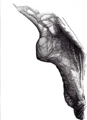 Women Foot - Tim Lauer - Array auf - Array - Women Foot - Tim Lauer - Array auf - Array -