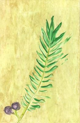 02-19 - Dubravka Topic - Array auf - Array - 02-19 - Dubravka Topic - Array auf - Array -