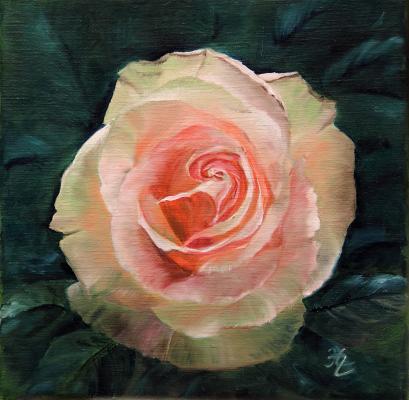 Rosenblüte - Heike Ziethen - Array auf Array - Array - Array Rosenblüte - Heike Ziethen - Array auf Array - Array - Array