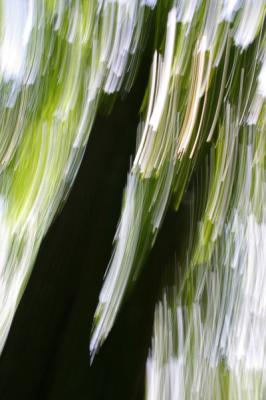 Baumschatten - Walter J. Pilsak - auf - Array - Baumschatten - Walter J. Pilsak - auf - Array -